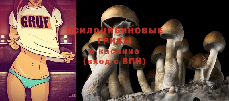 Псилоцибиновые грибы Psilocybe  Дудинка 